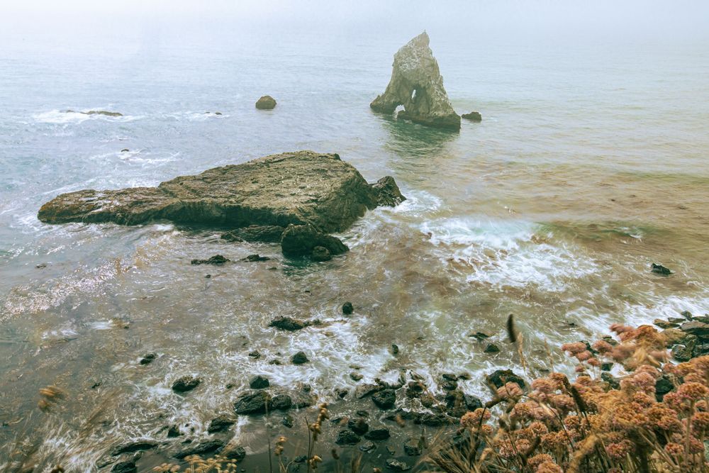 Misty coastal seascape with rocky outcroppings emerging from calm ocean waters, surrounded by wild coastal vegetation.