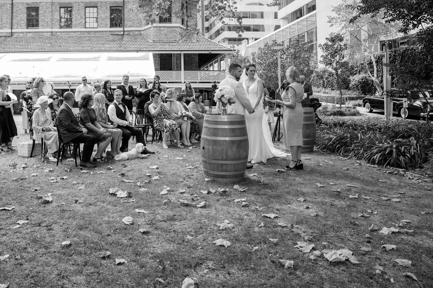 Black and white outdoor wedding ceremony with couple at barrel altar, guests seated on lawn, urban building backdrop.