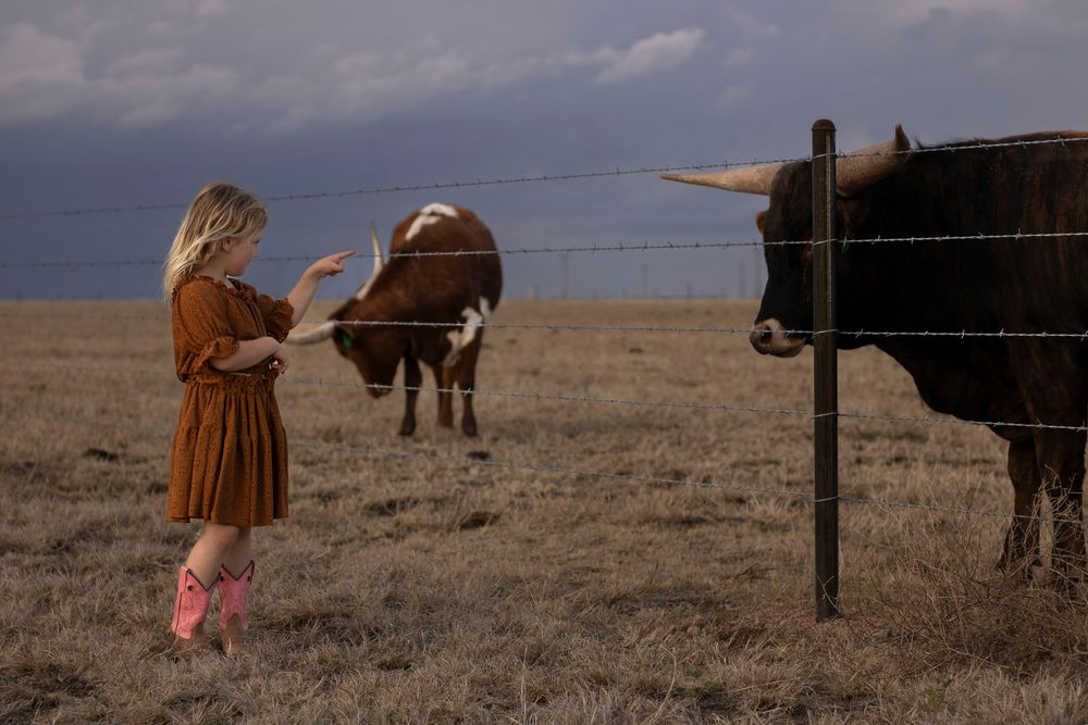 A young girl during a family photo session at an open field in Amarillo, Texas