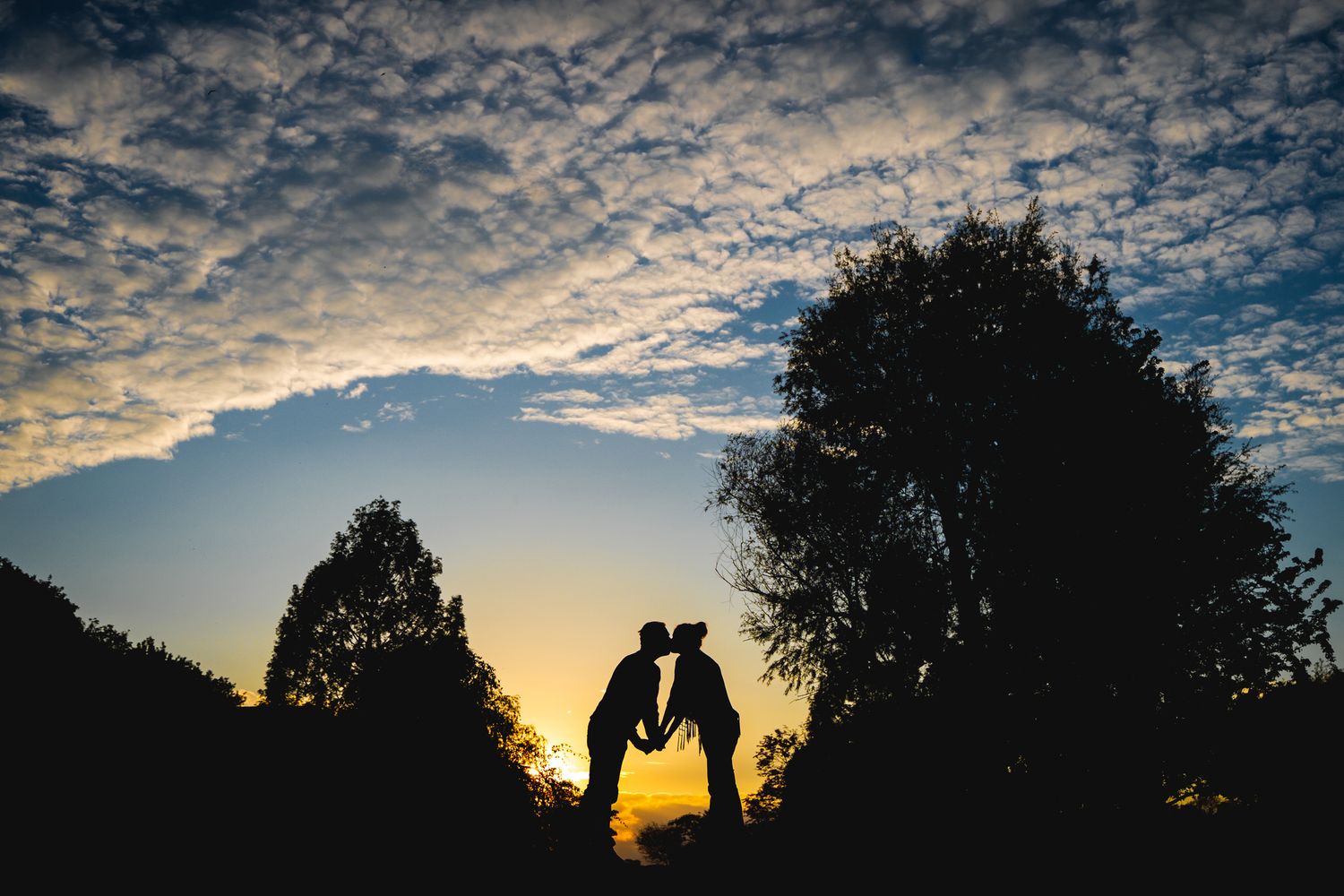 Silhouette of couple kissing at sunset with dramatic blue sky and clouds behind trees.