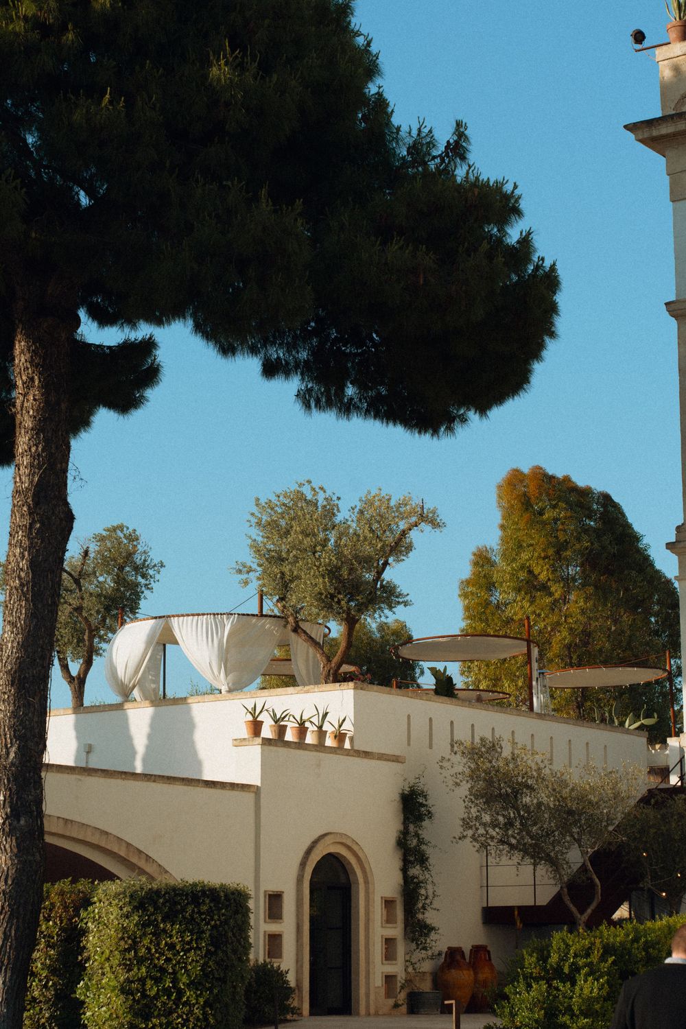 White Mediterranean villa with arched doorway, rooftop terrace, potted plants, and tall pine trees under a clear blue sky.