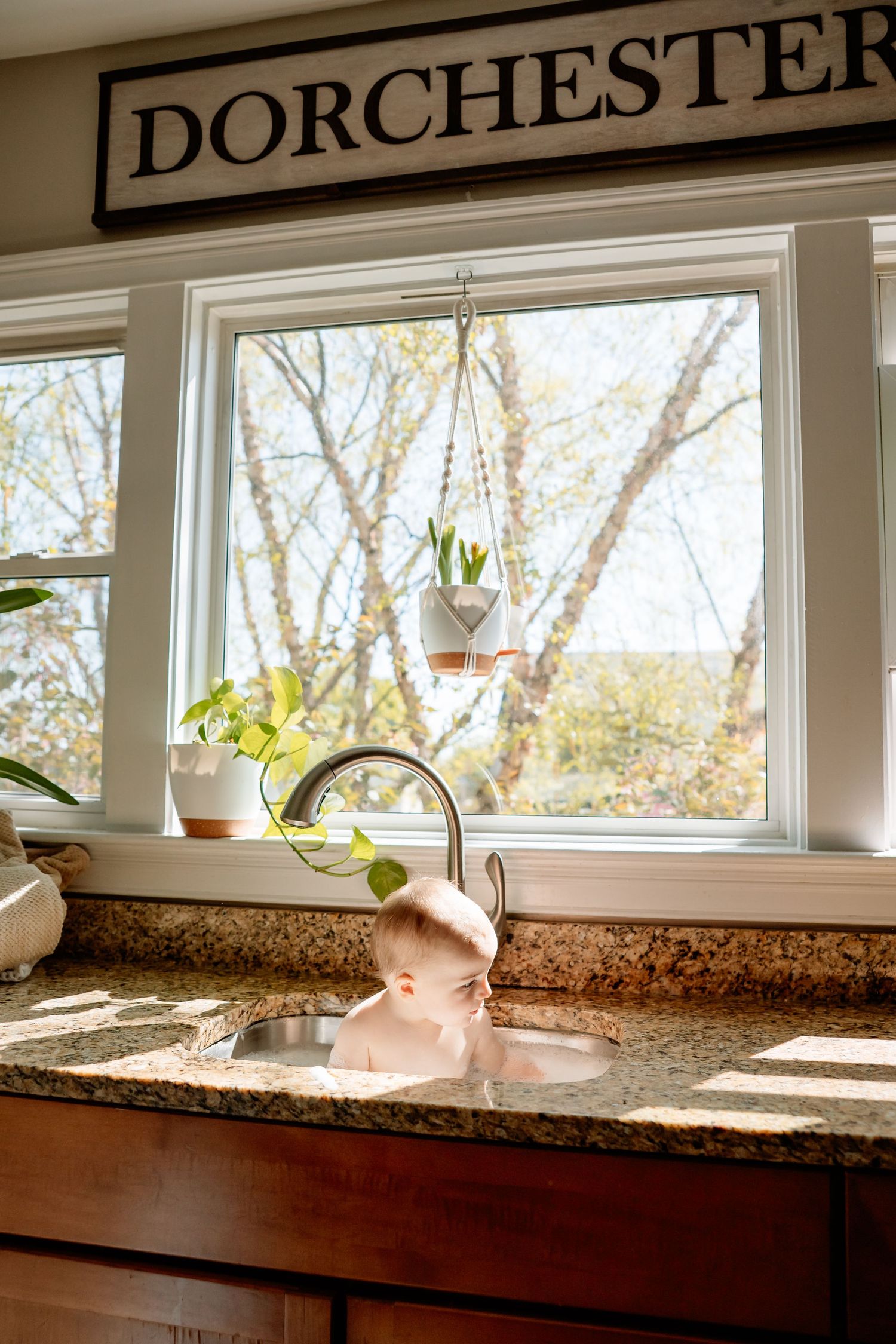 Baby sitting in a kitchen sink below a window with hanging plants and a Dorchester sign above.