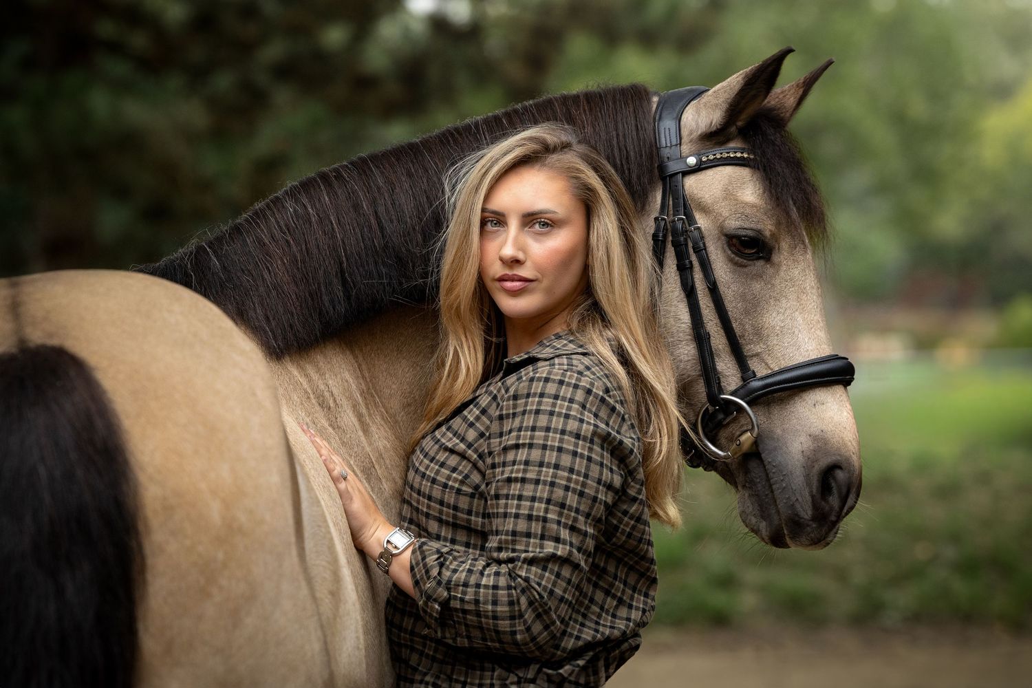 horse photography