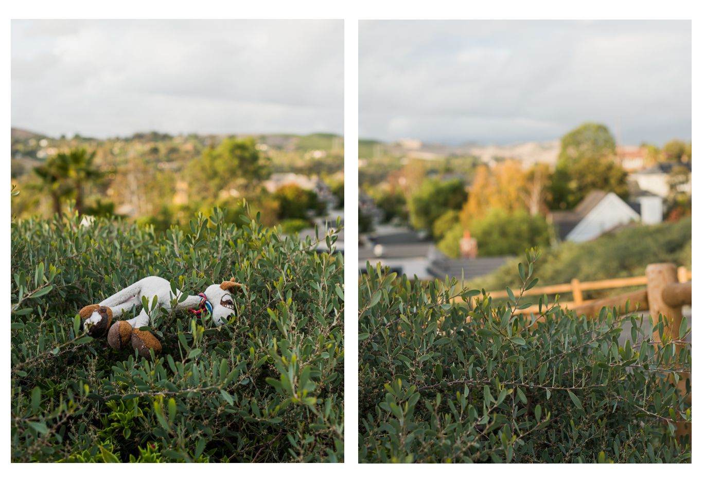 A small toy figurine nestled among green shrubs with a suburban landscape in the background.