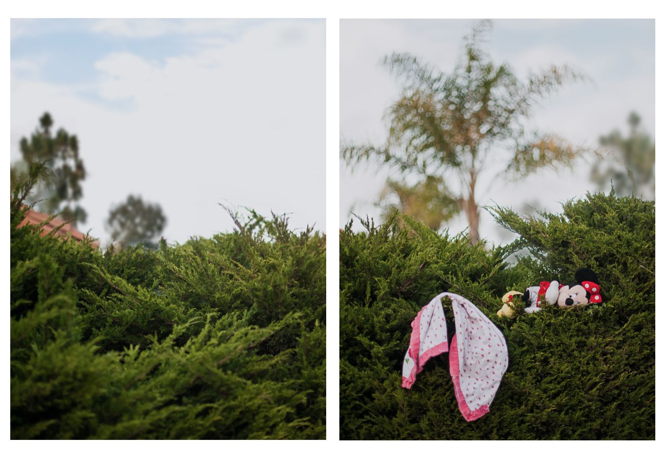 A pink toy accessory resting on dense green hedges with trees in the background.