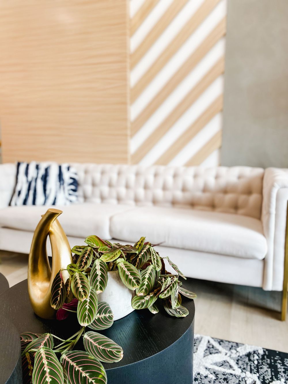 White tufted sofa with diagonal light patterns and potted plants on black side tables.