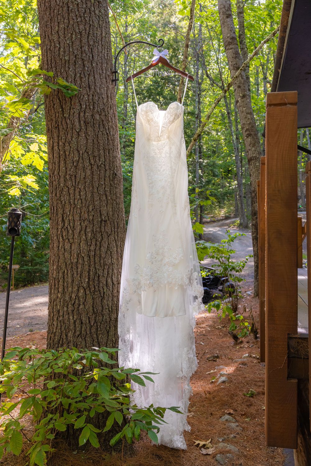 A white wedding dress hangs on display from a tree trunk in a serene forest setting with dappled sunlight.