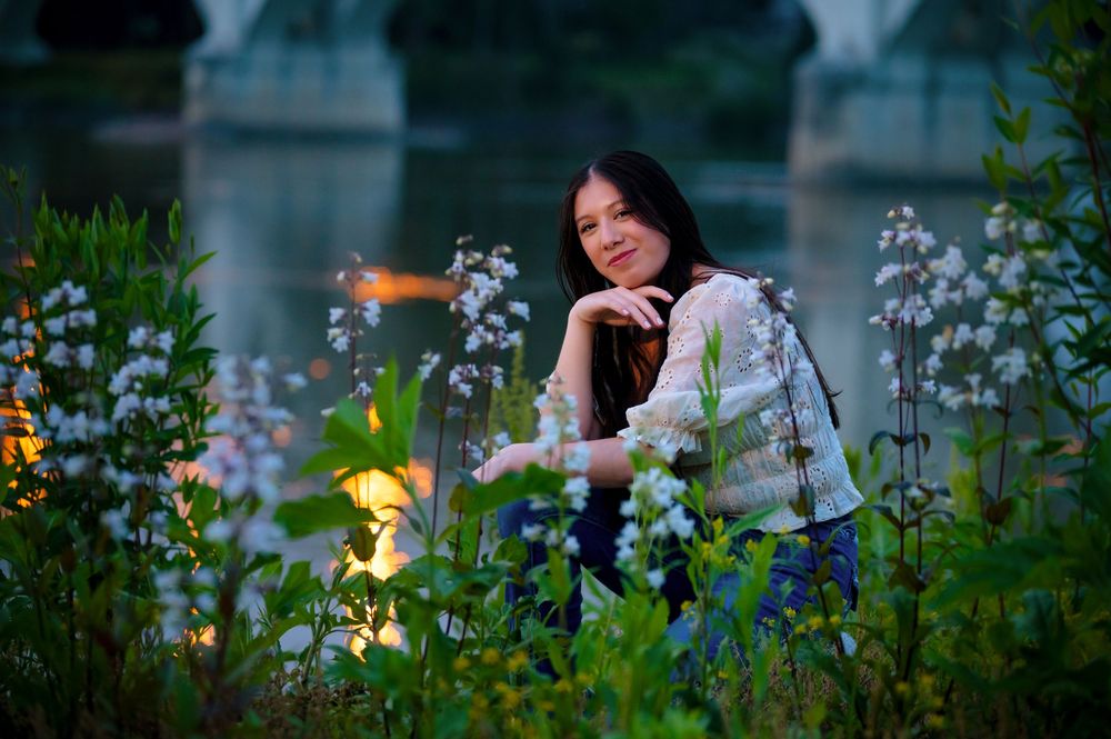 A set of garden flowers in bloom at dusk with bokeh light effects creating a dreamy atmosphere.