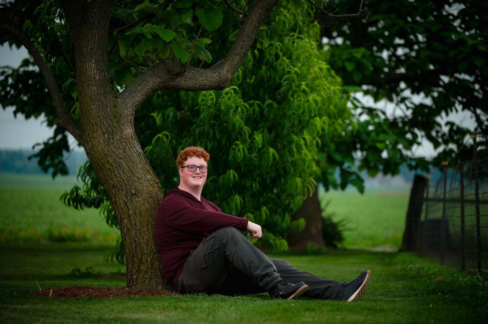 A person sits under a large tree in a lush green field on a peaceful summer day.