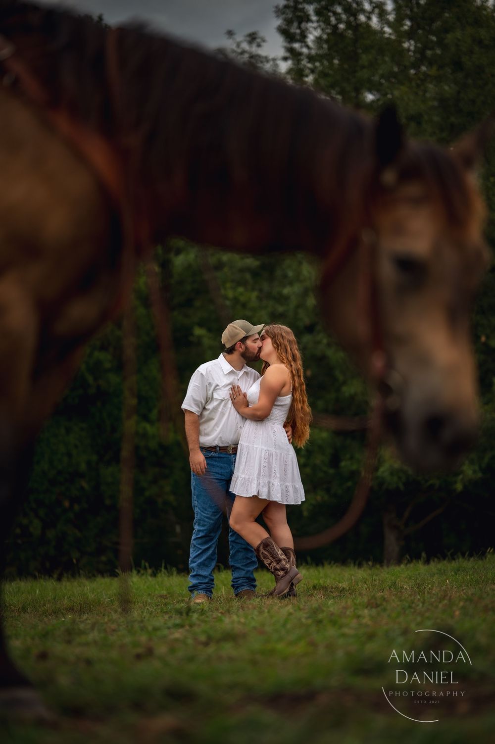A romantic country engagement photo with horses framing a couple embracing in a grassy field at sunset.