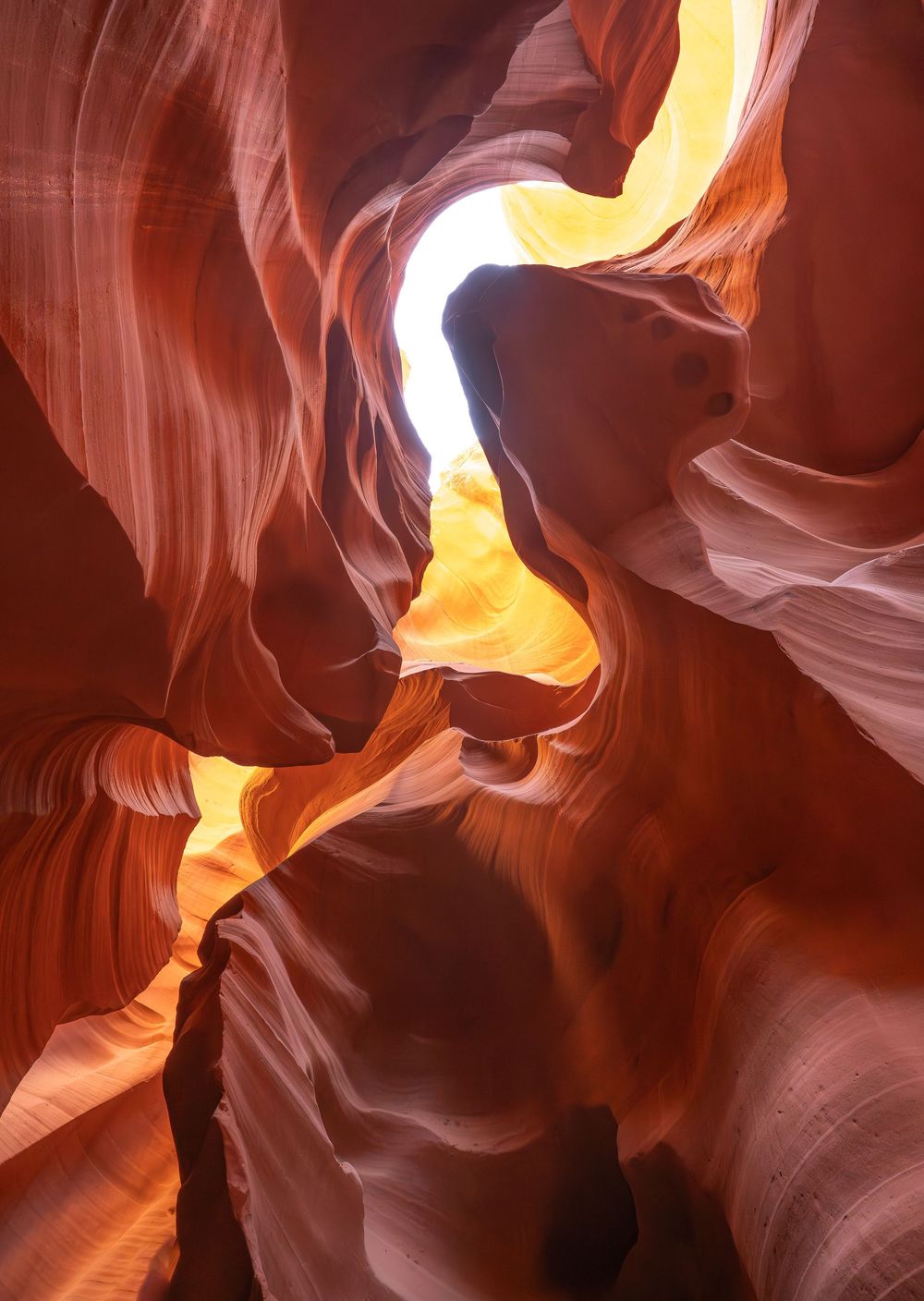 Sunlight illuminates smooth orange sandstone walls in Antelope Canyon, creating dramatic curves and shadows.