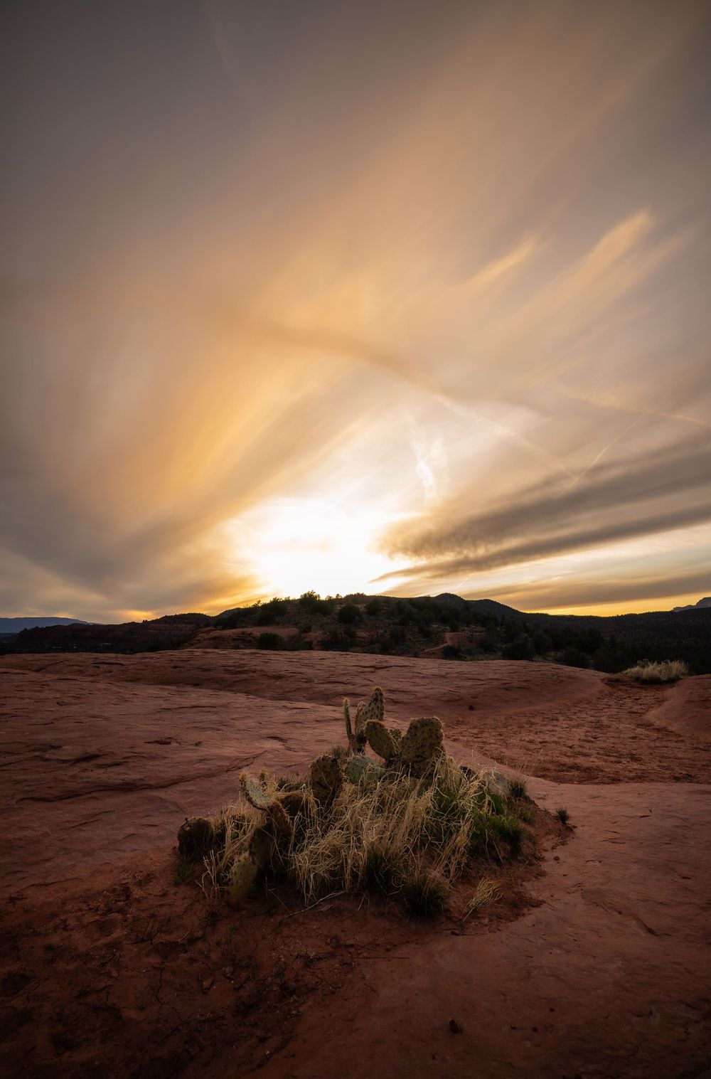 Dramatic sunset over red desert landscape with scattered desert plants and sweeping clouds in the sky.