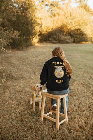 Student in FFA jacket sits on wooden stool in golden autumn field during senior photo session.