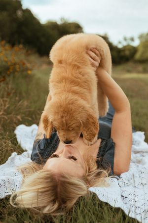 A golden retriever puppy playfully interacts with someone lying on white lace in a grassy outdoor setting.