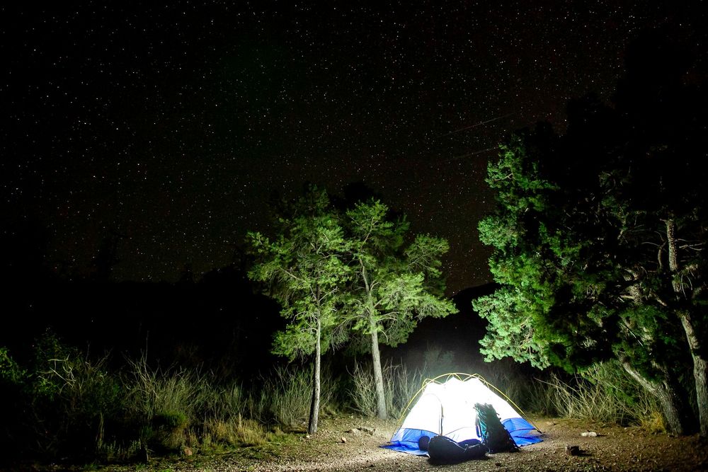 Illuminated camping tent glows in dark forest under starry night sky.