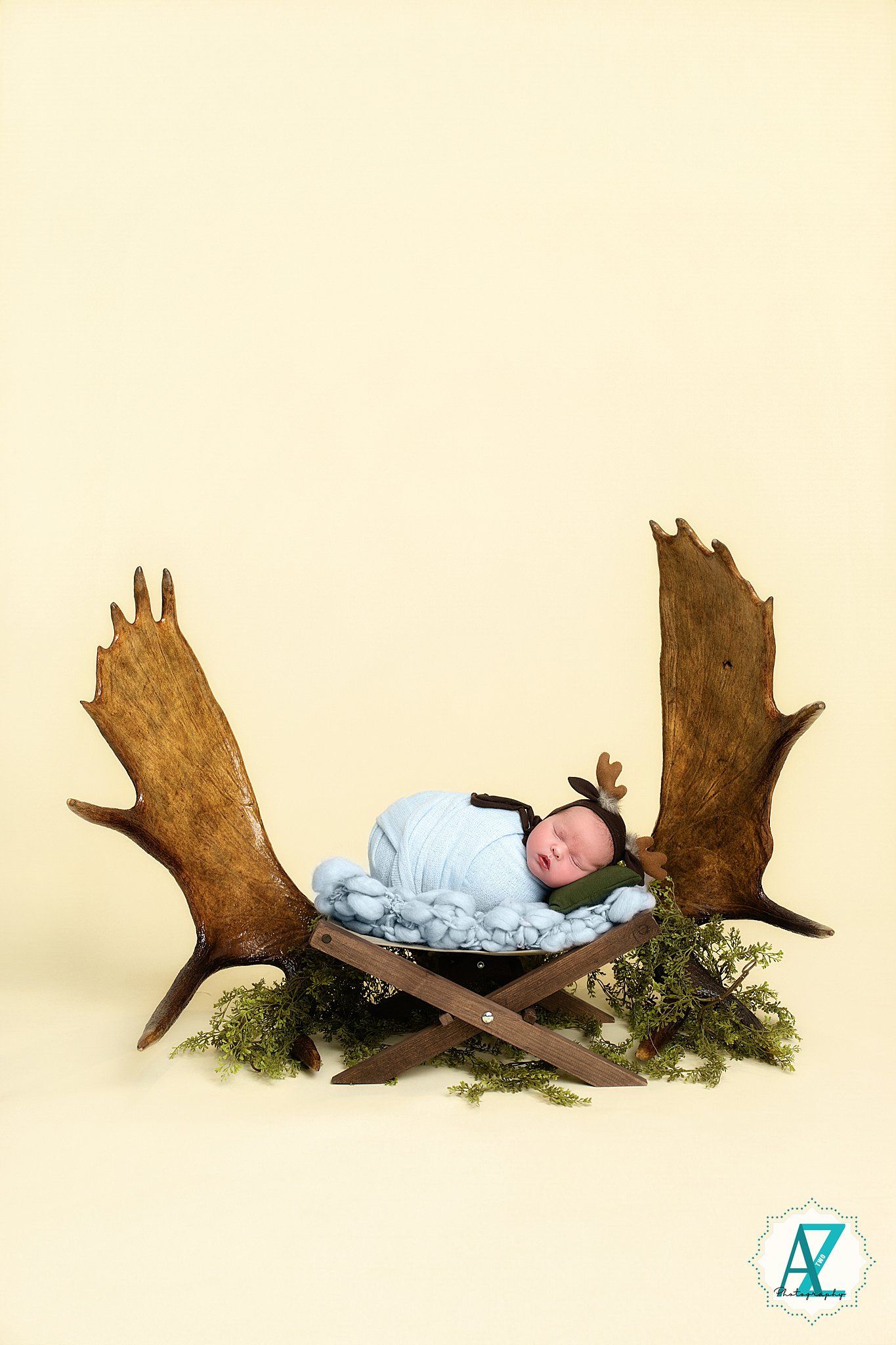 Newborn photography setup with large moose antlers and moss on cream background.