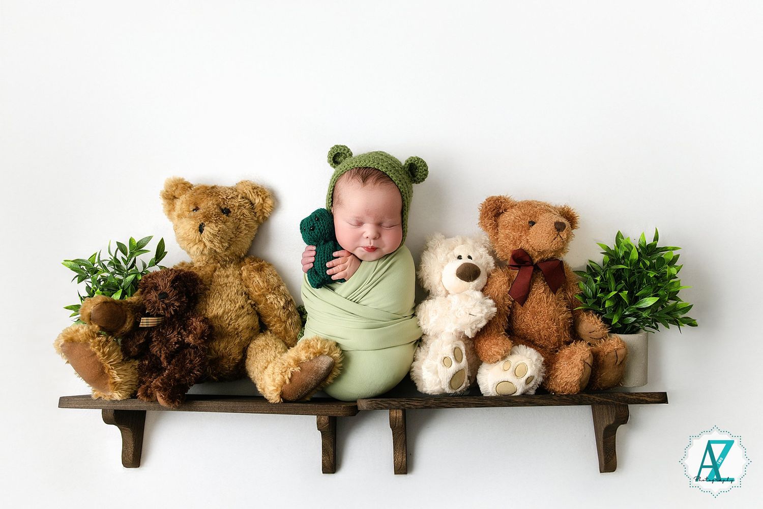 A wooden shelf displaying an adorable collection of teddy bears and soft plush toys with greenery accents.