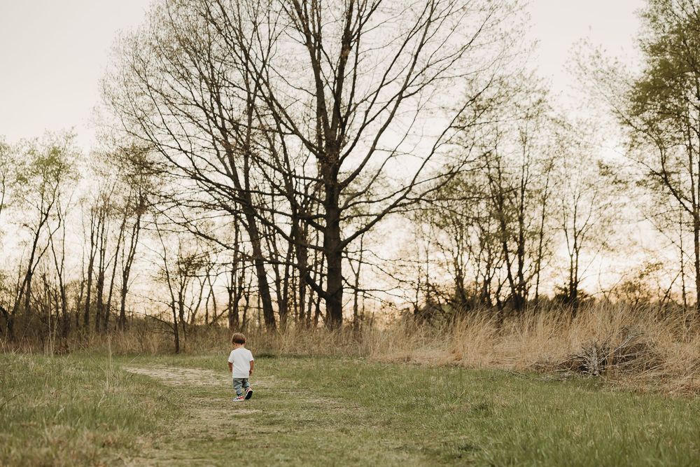 A small figure walks through a grassy meadow at sunset with bare trees silhouetted against the warm sky.