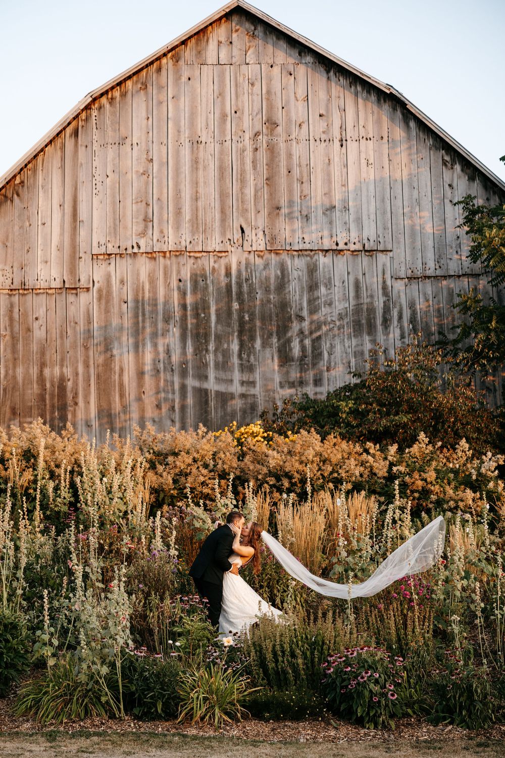 A couple shares an intimate moment in front of a rustic barn surrounded by tall wildflowers and golden light.