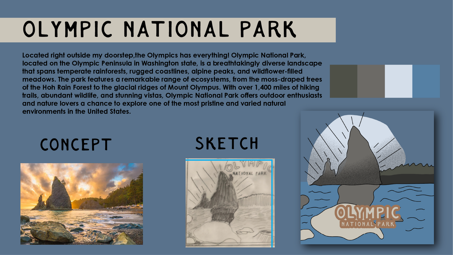 Olympic National Park design mockup showing coastal sunset concept and sketch variations.
