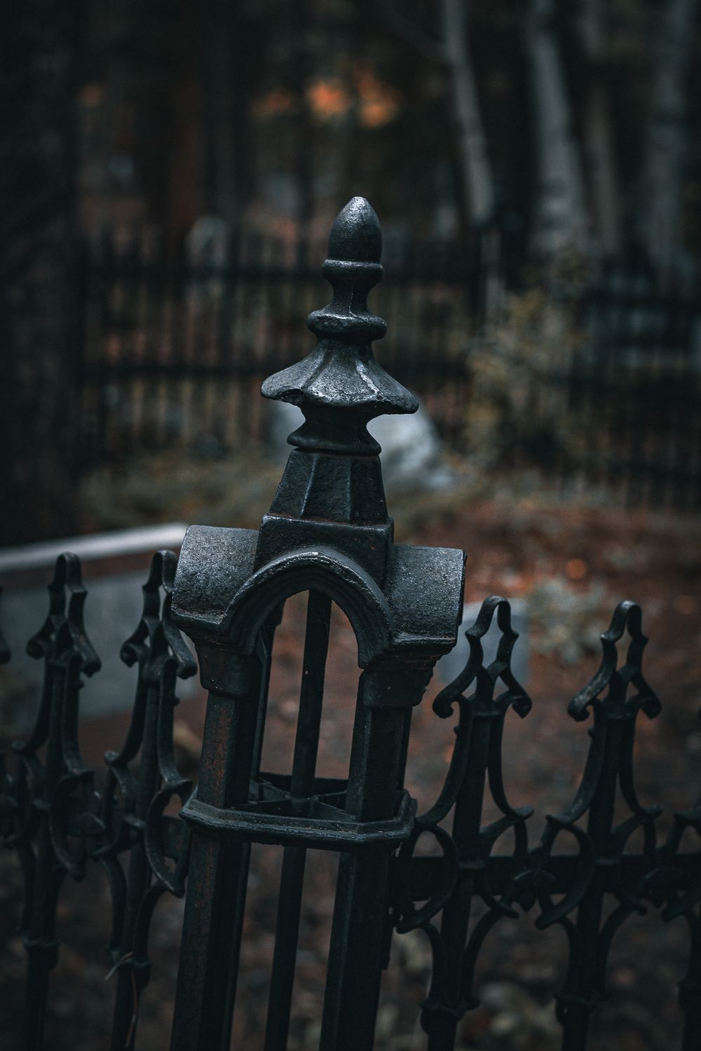 Ornate black metal fence posts with decorative finials silhouetted against a blurred dark background.