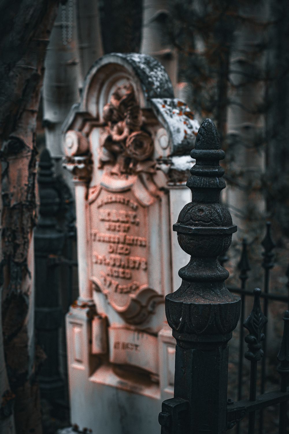 Gothic cemetery fence posts stand before weathered tombstones in dim lighting with shallow depth of field.
