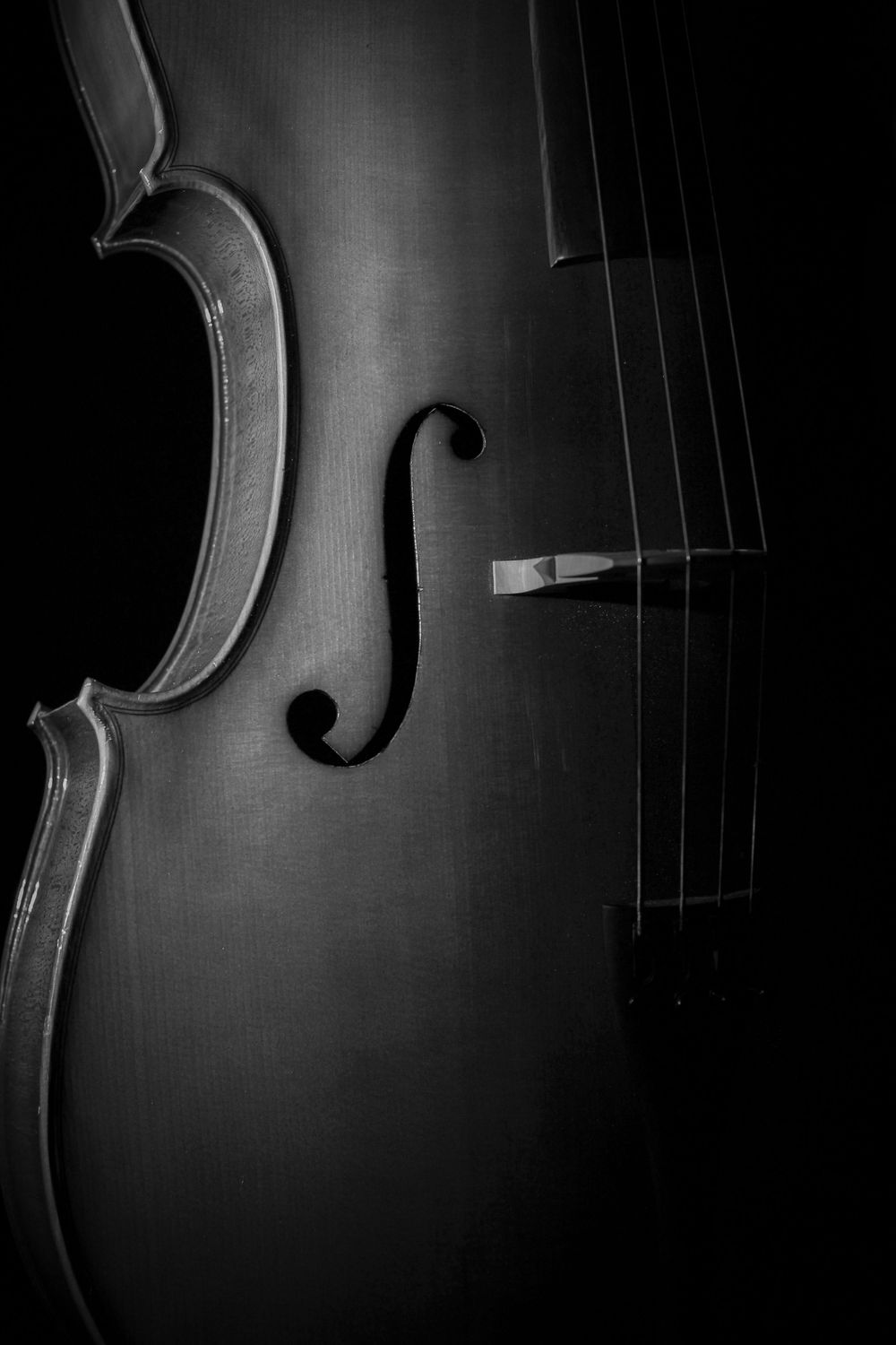 Black and white close-up photographs of violin details showing f-holes and curves in dramatic lighting.