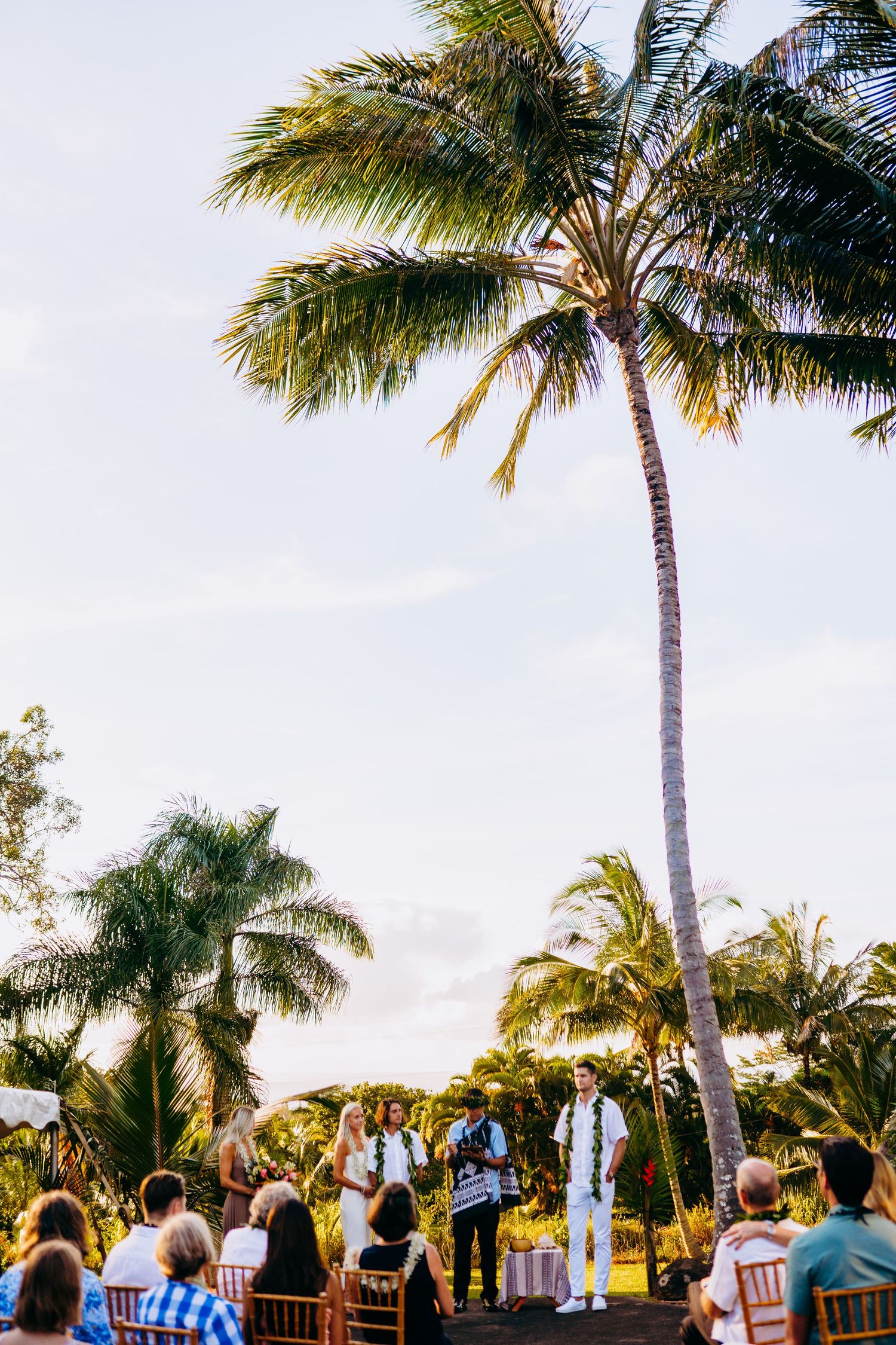 Wedding guests gather under swaying palm trees at a tropical outdoor ceremony during golden hour. A tropical Maui North Shore Haiku wedding.