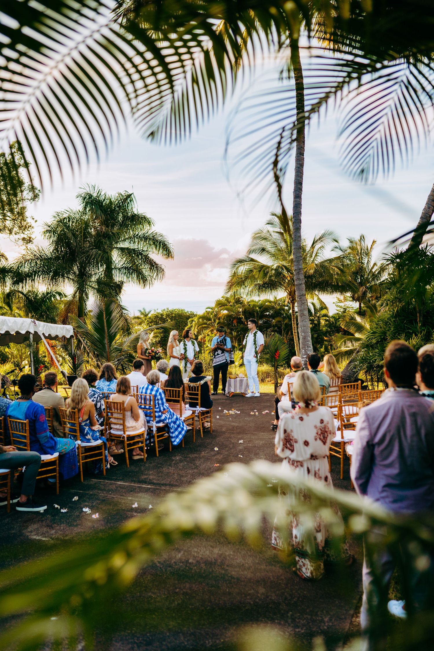 Outdoor wedding ceremony setup under palm trees at sunset with guests seated. Maui Hawaii wedding
