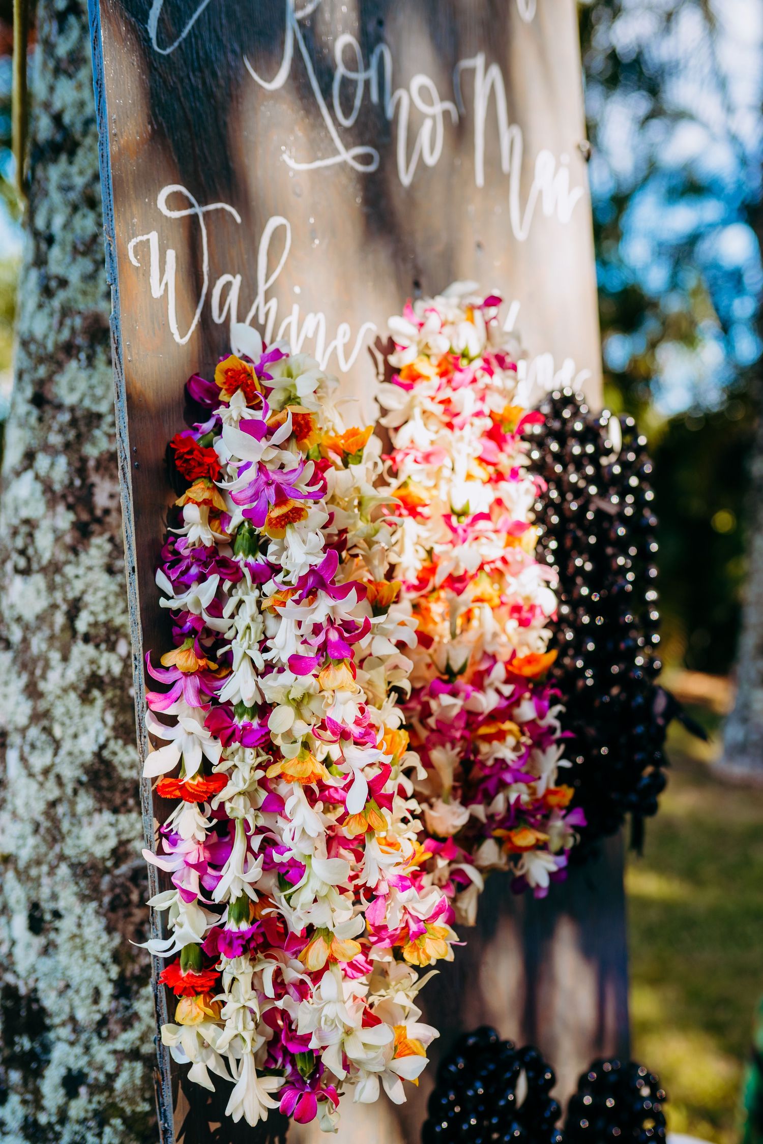 Vibrant tropical orchid lei with pink, orange and purple blooms hangs decoratively on a tree trunk in natural lighting. Maui elopement lei