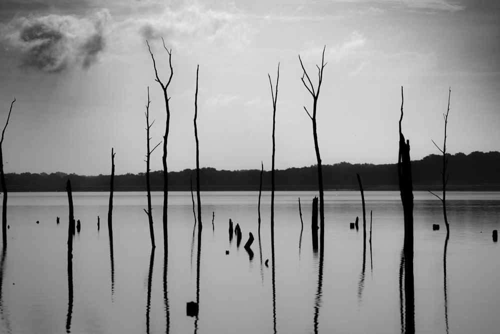 View of Manasquan Lake, NJ