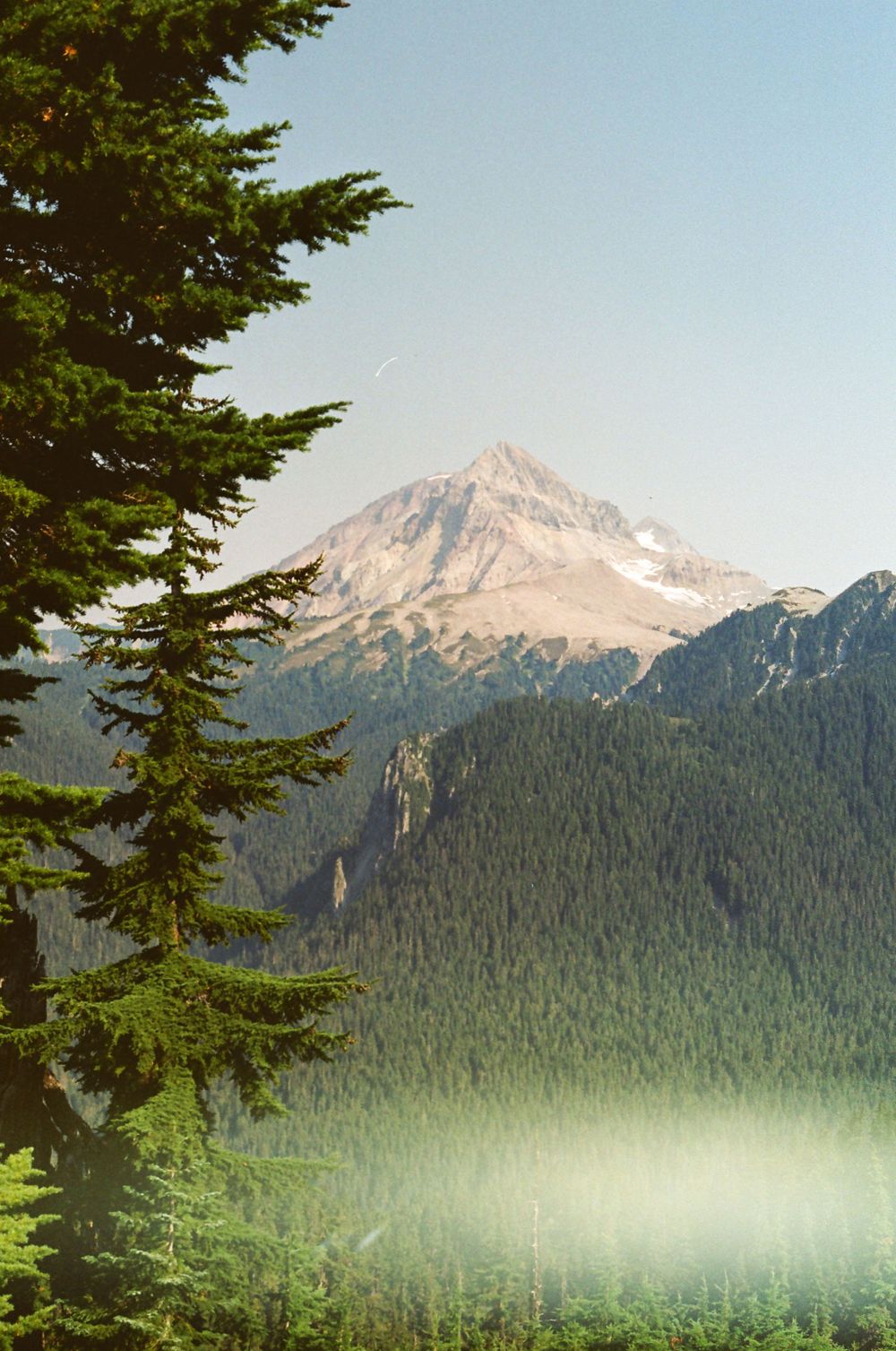 Snow-capped mountain peaks rise above evergreen forests under a clear blue sky.