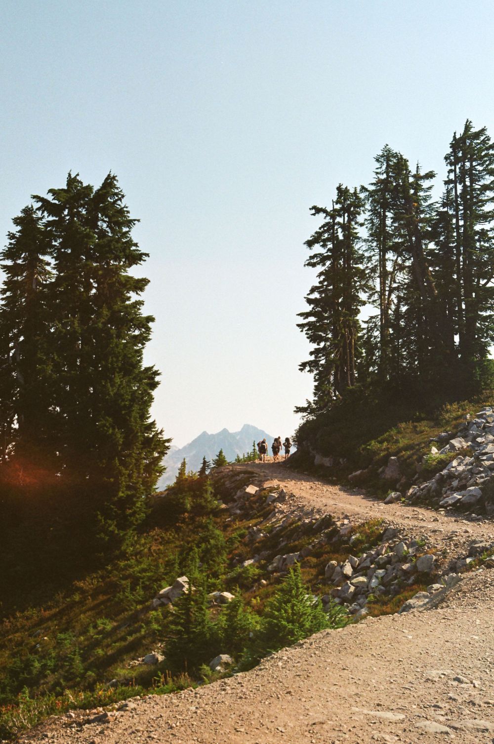 Hikers traverse a rocky mountain path lined with evergreen trees against a clear blue sky.
