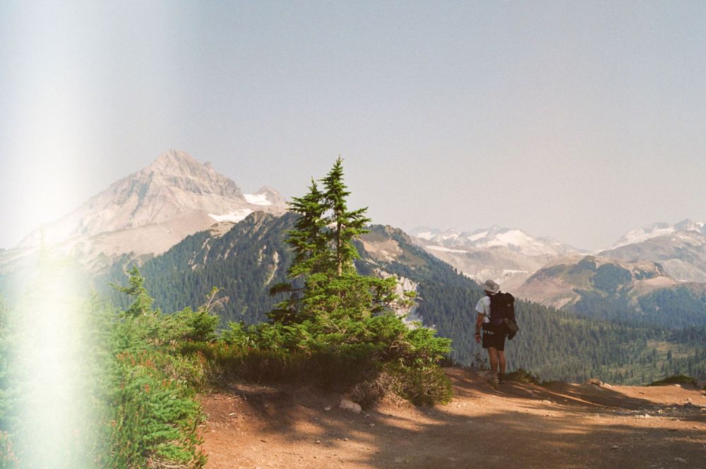 Alpine hiking path overlooking majestic mountain ranges and evergreen forests.