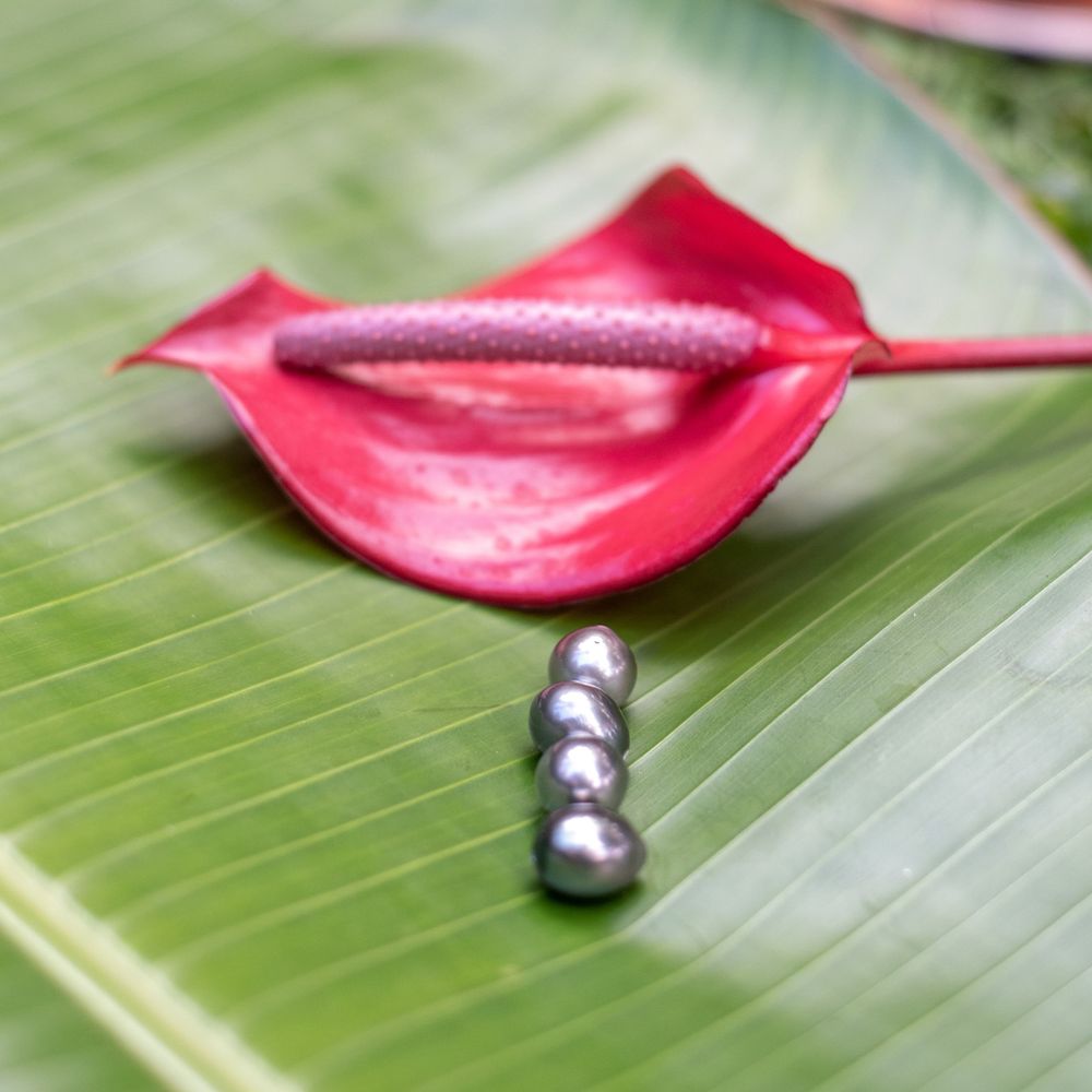 Artistic arrangement of silver beads with pink anthurium flower on tropical green leaf.