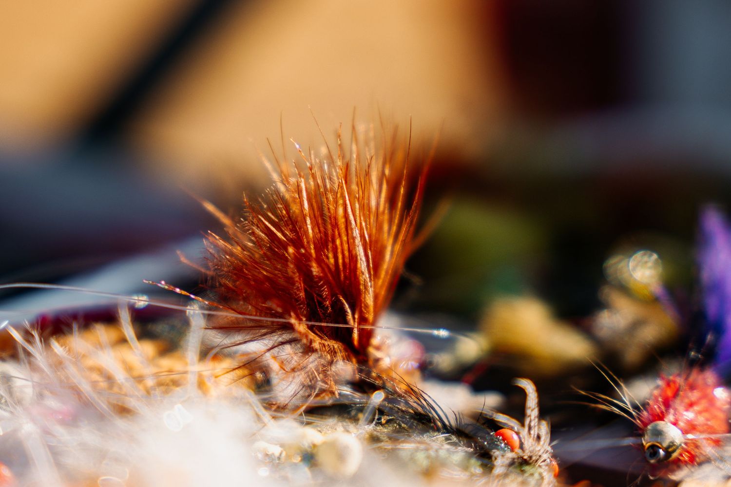 Macro shot of bright orange and red fly fishing lure with detailed fibers.