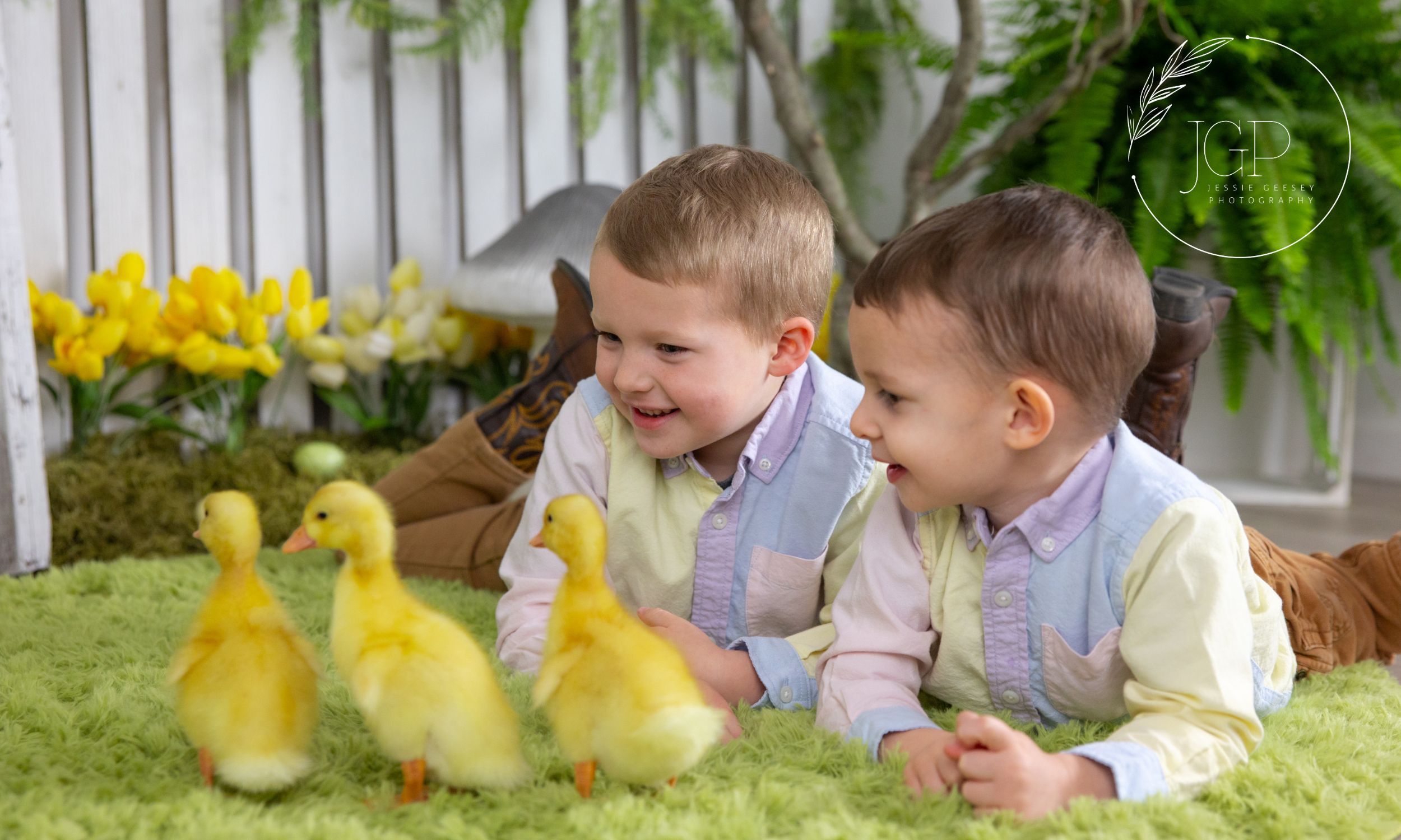 Two small boys smiling at three yellow ducklings