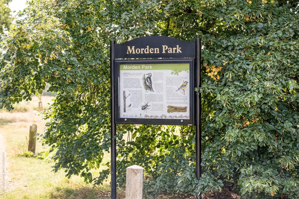 Information sign board for Marsden Park stands among green trees and foliage on a sunny day.