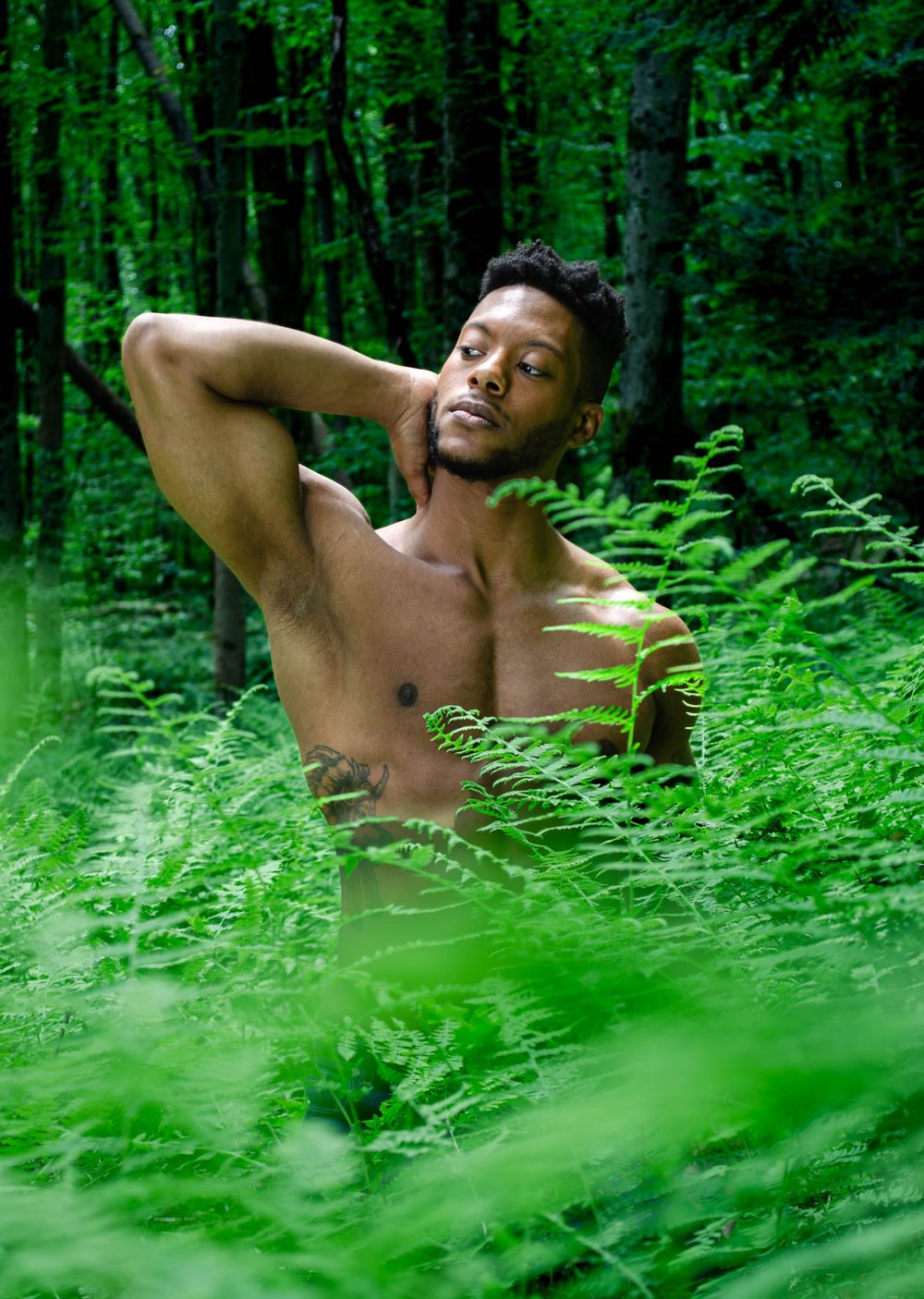 A figure rests among lush green ferns in a tranquil forest setting, creating a peaceful natural scene.