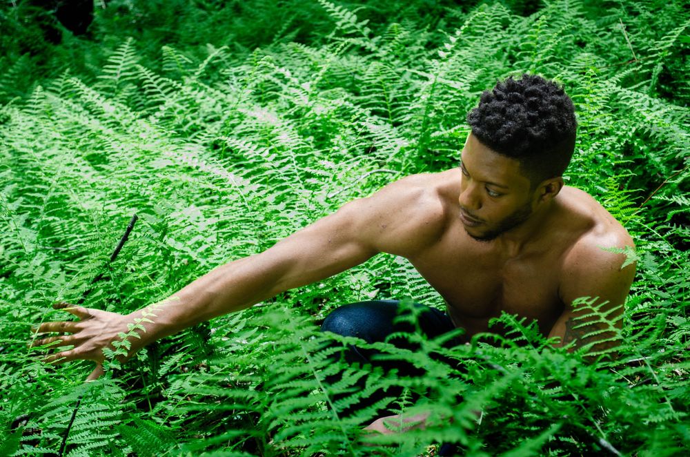 A series of artistic photos showing someone emerging from a lush green fern forest in a dynamic pose.