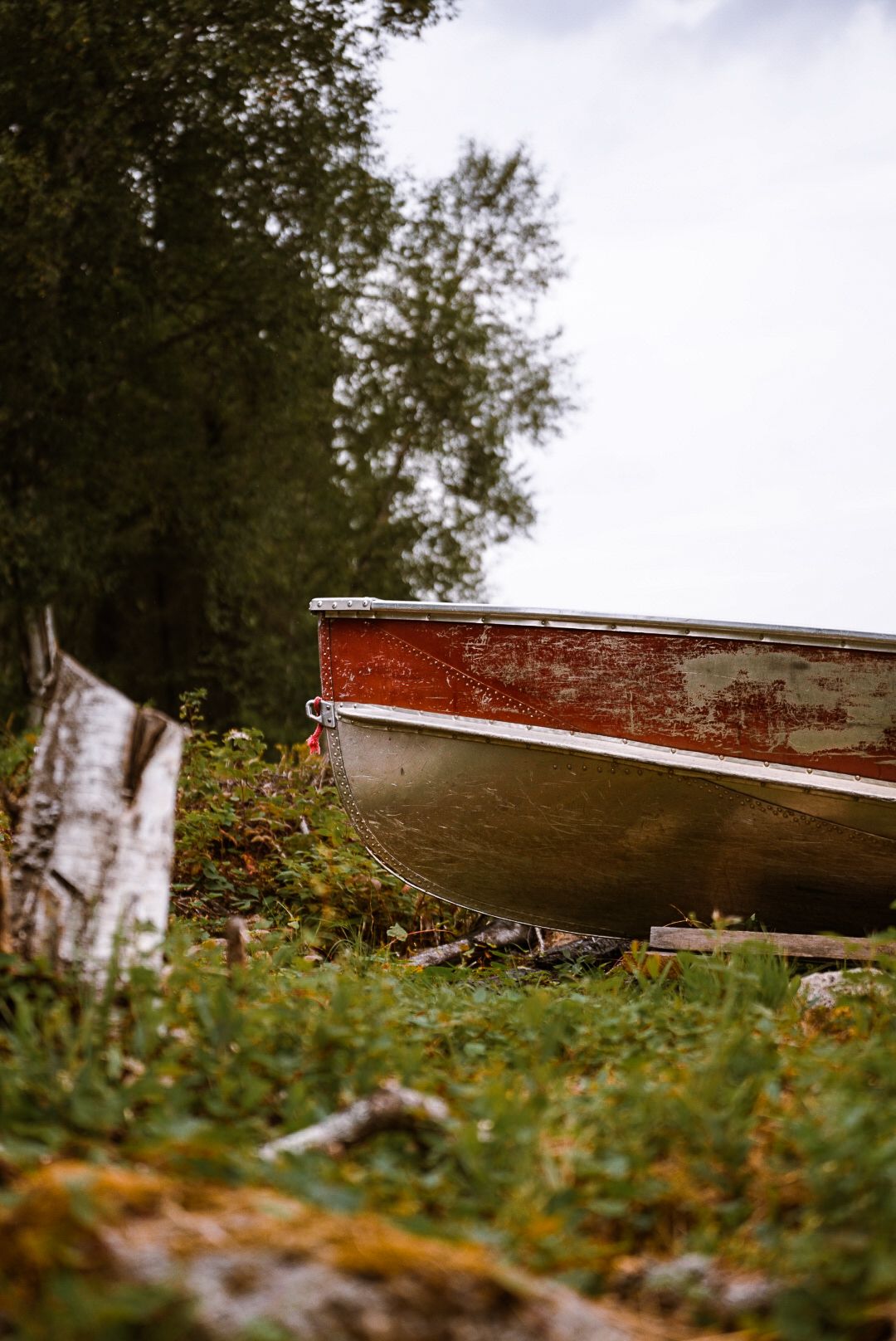 Vintage wooden boat hull resting in tall grass and wildflowers.