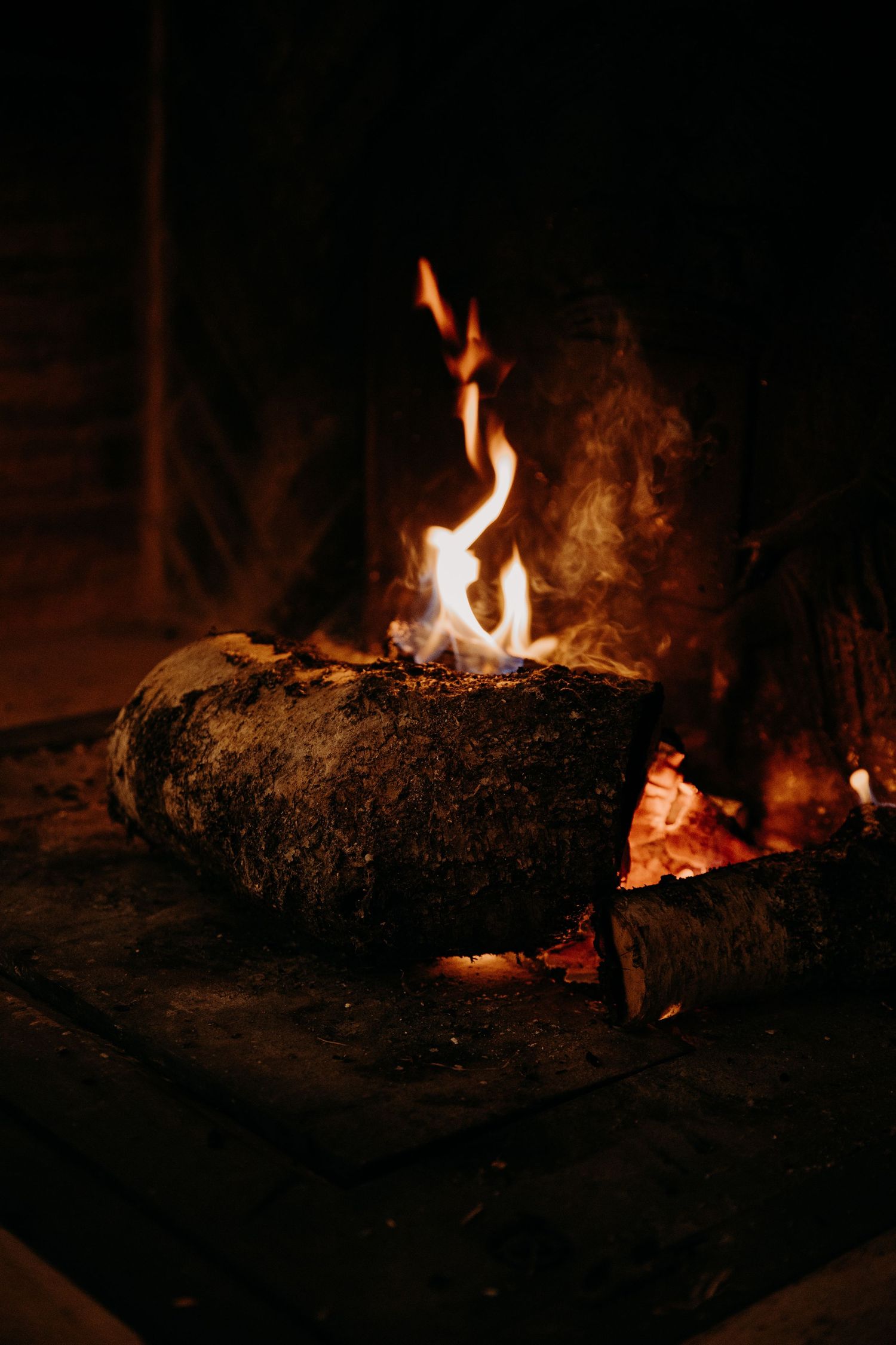 Burning log with orange flames and embers glowing in the darkness.