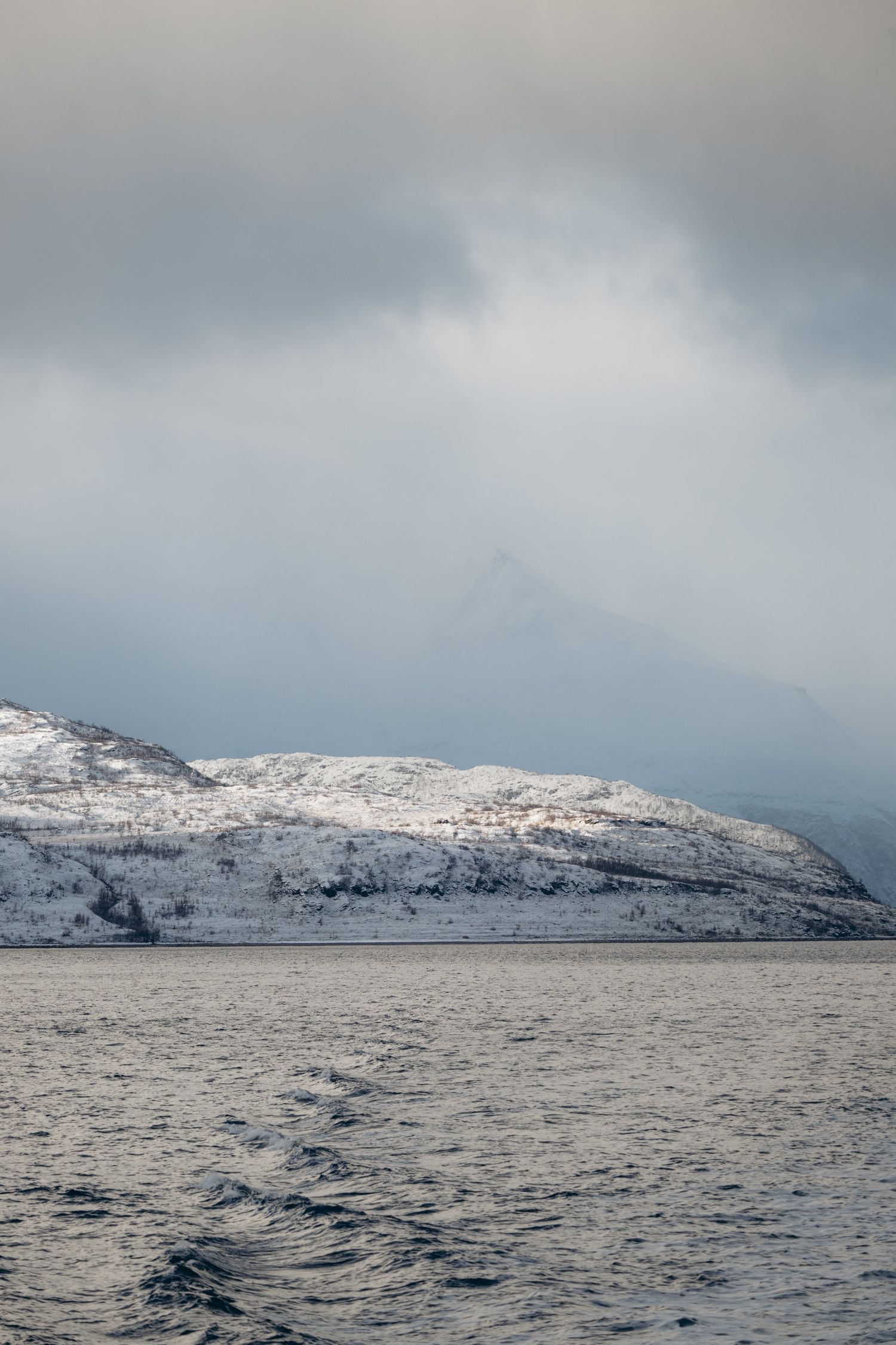 Sommet enneigé au bord d'un fjord vers Tromsø