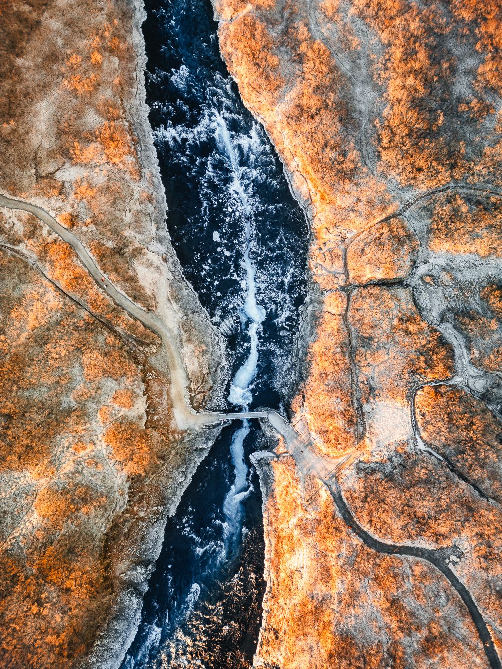 Aerial drone view of rushing river cutting through orange autumn forest landscape from above.