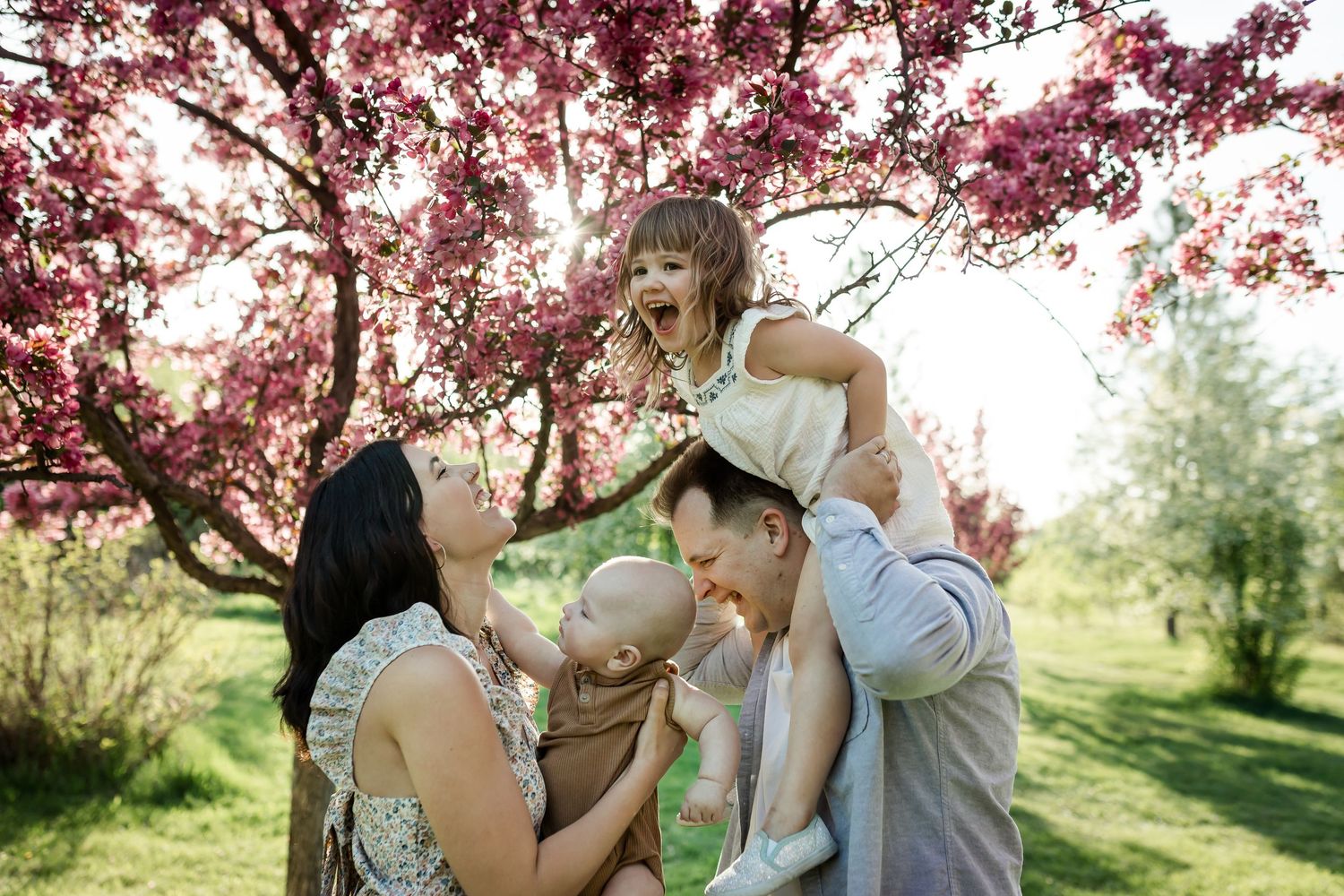Golden hour candid family photos by the cherry blossoms in spring by Calgary lifestyle photographer, Love & Sunshine Photography.