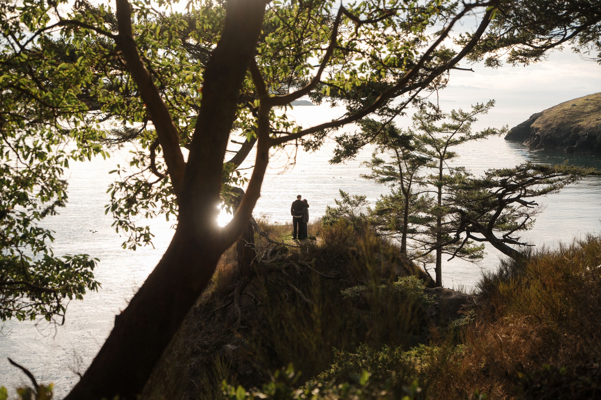 A silhouette stands on a cliff edge overlooking the ocean at sunset through tree branches.