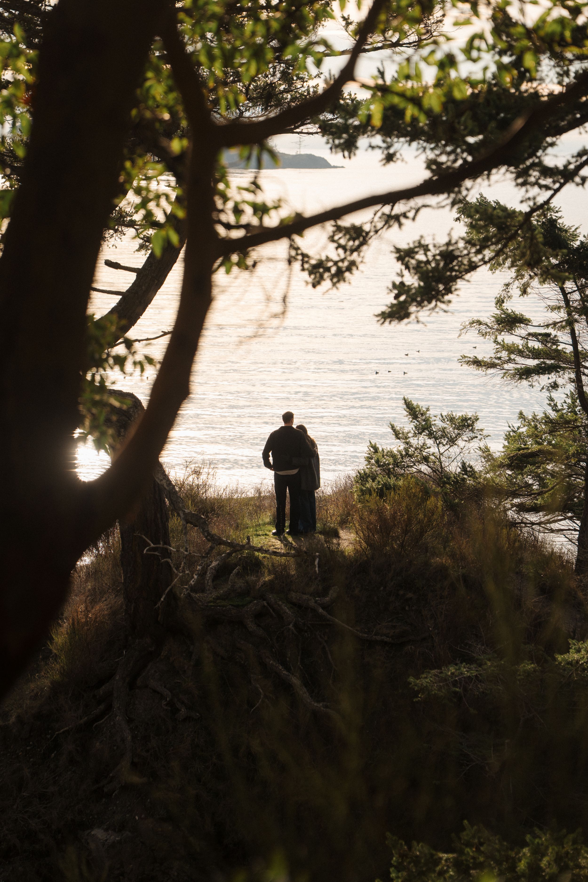 A silhouetted figure stands at the edge of a coastal cliff overlooking the water through a frame of tree branches at sunset.