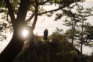 Silhouettes of people walking through sunlit forest with sun rays streaming through tall pine trees at sunset.