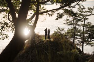 Silhouetted figures stand on a cliff edge overlooking the ocean at sunset, framed by a dramatic tree silhouette.
