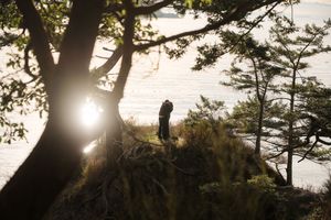 Sunlight bursts through evergreen tree branches creating a dramatic lens flare effect in a forest setting.